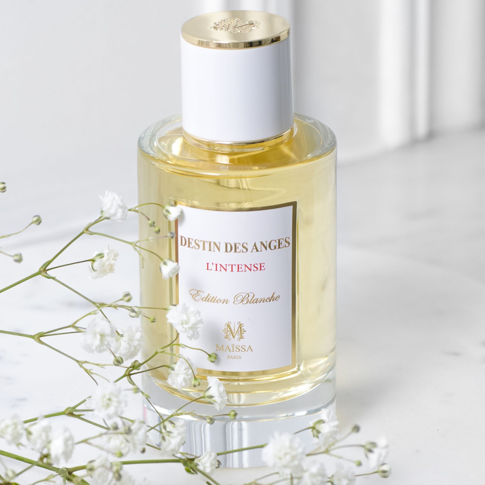 Destin des Anges – Maison Maïssa